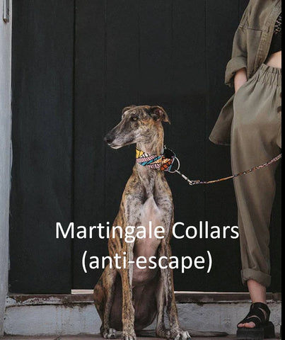 Brott Barcelona |  COLLARS MARTINGALE SYSTEM (Coleiras anti-escape ideais para Greyhounds, Whippets & ALL Dogs)