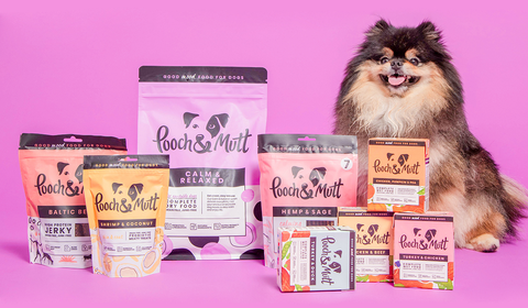 **POOCH & MUTT | FUNCTIONAL DOG FOOD (Nutrição personalizada para cão)