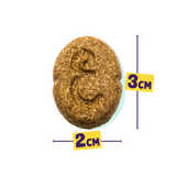 Festive Biscuits - Peru & Pato (Edição Especial) (Big  box) 400g 🦃🦤🫐