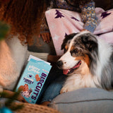 Festive Biscuits - Peru & Pato (Edição Especial) (Big  box) 400g 🦃🦤🫐