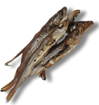 Cavala do Atlântico 12-18cm 🐟 Peixe muito rico em Ómega 3!