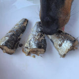 Topping / Alimento / Snack Canumi 100% Natural - Lombos Sardinha (O super peixe, muito rico em Ómega 3)