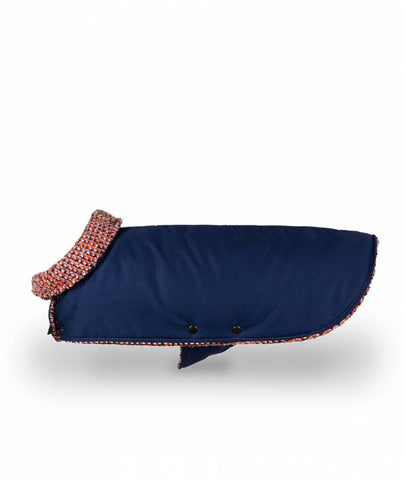 BLUE & Martinet (Hotter fabric)