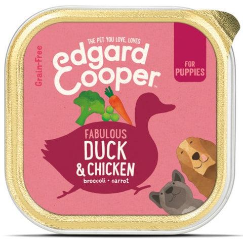 Terrina paté PUPPY Pato & Frango com brócolos e abóbora para cachorros 150g 🦆🎃
