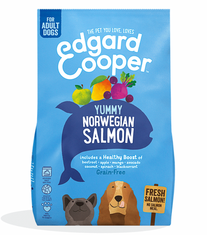 Alimentação Salmão da Noruega 100% fresco para cães Adultos 🐟