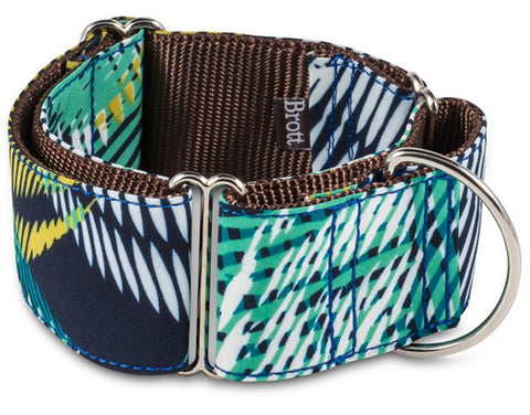 RODA (Collar + Leash)