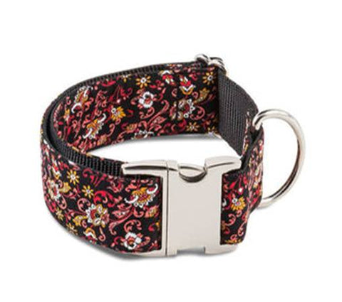 GAIA 🍀 (Poupa 60%: Última unidade Collar M + Leash)