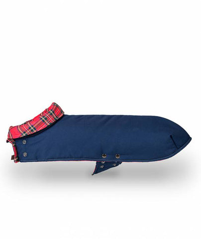BLUE & TREMP - HEROES OF KINDNESS pet business distributors