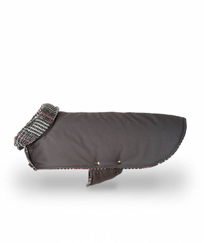GREY & RIBES (Hotter fabric)