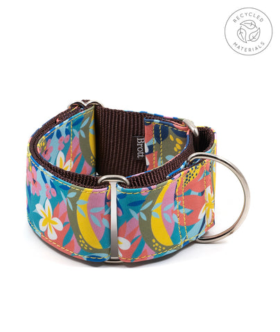 CIUTADELLA ECO (New collection)
