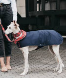 BLUE & TREMP - HEROES OF KINDNESS pet business distributors