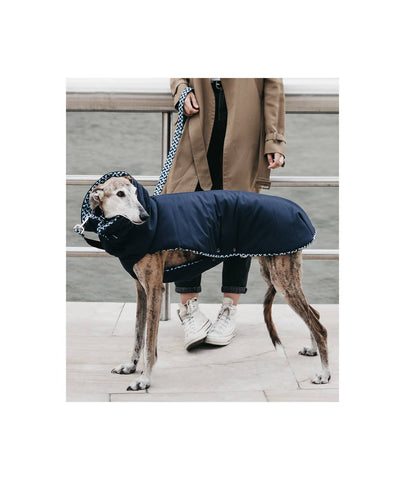 BLUE & IR WINTER - HEROES OF KINDNESS pet business distributors