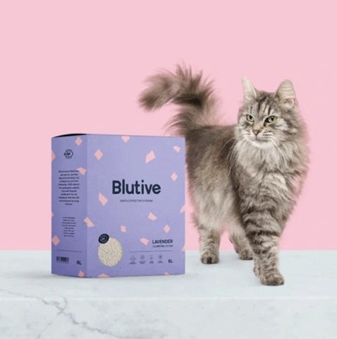 **BLUTIVE® | Cat Litter Advanced (Última geração Areia: 100% natural ECO suave ULTRA LEVE Ultra Aglomerante e Hiper Absorvente, sem pó😻 💫♻️