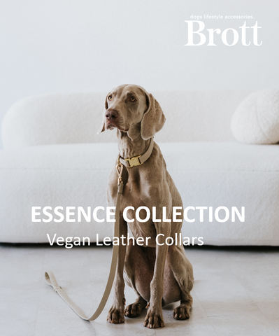 Brott Barcelona Acessories | ESSENCE COLLECTION (NEW)