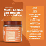 Pawfect - Delicioso Food Topping PUMPKIN PURGE Pumpkin Powder | 100% Natural | Enriched with Apple Pectin, Pumpkin seeds & Flaxseeds, Pre & Pro Biotics | Digestive Regularity | Firm Stool | Supports Anal Gland  (250g)