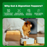 Pawfect - Delicioso Food Topping PUMPKIN PURGE Pumpkin Powder | 100% Natural | Enriched with Apple Pectin, Pumpkin seeds & Flaxseeds, Pre & Pro Biotics | Digestive Regularity | Firm Stool | Supports Anal Gland  (250g)