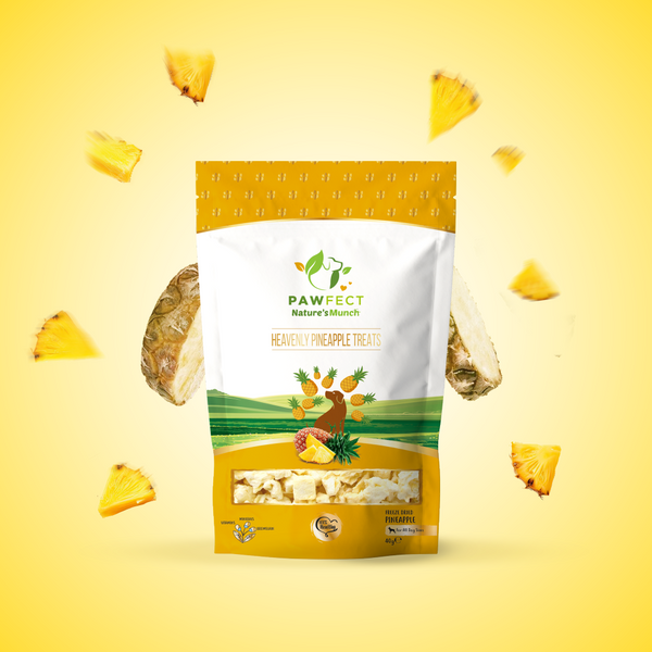 🍍Pawfect - Snacks FRESH FREEZE DRIED Heavenly Pineapple (Anti-Inflammatory Booster)