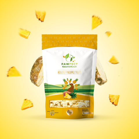 Pawfect - Treats 100% fruta fresca - Heavenly Pineapple 🍍