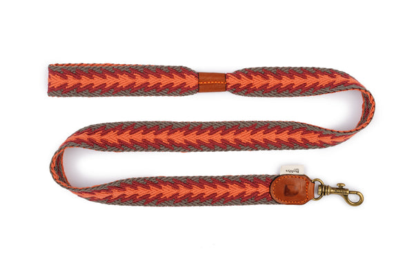Peruvian Arrow Orange