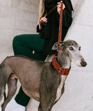 CONESA (animal print)