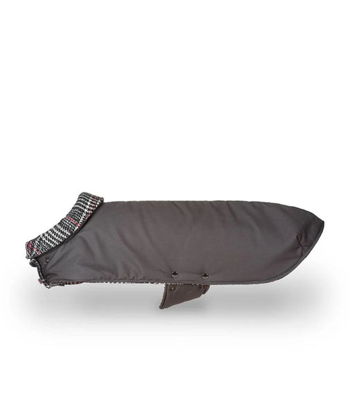 Brott Barcelona - GREY & RIBES - Greyhound & similar anatomy long & thin (Special Edition) Hotter fabric