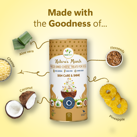 Snacks SKIN CARE & SHINE - Queijo, Coco, Abacaxi, Sem. Linhaça e Aloe Vera (liofilizados - freeze air dried) (regeneração pele e pelo brilhante e cuidado)