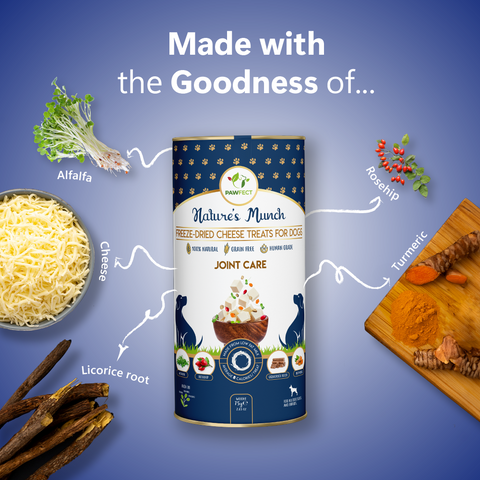 Snacks JOINT CARE - Queijo, Cúrcuma, Alcaçuz, Alfafa e Rosa Mosqueta (liofilizados - freeze air dried) (melhora saúde articulações)