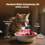 Pawfect - Snacks FRESH FREEZE DRIED Lamb Meat Treats for Cats| 100% Natural| Hypoallergenic| Easily Digestible| Grain-Free| Training Treat| High Protein| Low Fat| Single Ingredient treats