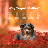 Pawfect - Yogurt Melties Pre & probióticos 🥛🍓- Morangos, maçã, raiz bardana e papaya