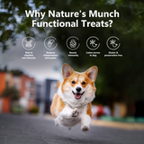 Pawfect Snacks Queijo Funcionais JOINT CARE