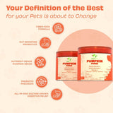 Pawfect - PUMPKIN PURGE Pumpkin Powder | Daily Topper for Dogs | 100% Natural | Enriched with Apple Pectin, Pumpkinseeds & Flaxseeds, Pre & Pro Biotics | Digestive Regularity | Firm Stool | Supports Anal Gland  (250g)