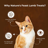Pawfect - Snacks FRESH FREEZE DRIED Lamb Meat Treats for Cats| 100% Natural| Hypoallergenic| Easily Digestible| Grain-Free| Training Treat| High Protein| Low Fat| Single Ingredient treats