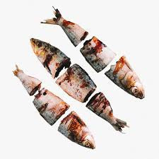Fish Chuncks Sardinha 🐟