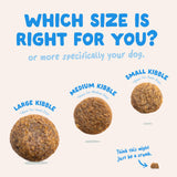 Edgard & Cooper - Fresh Salmon Small Dogs