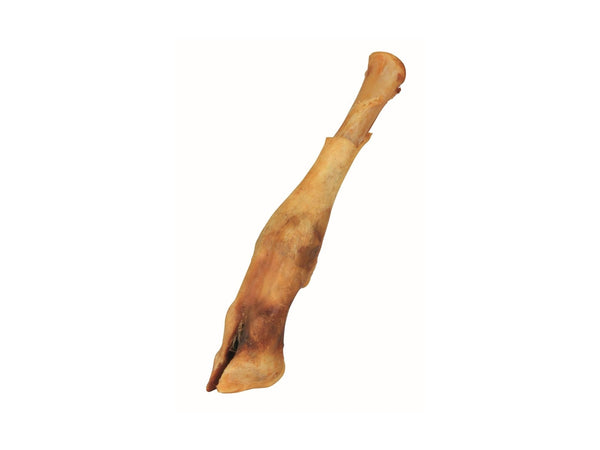 Patas Cordeiro Grandes (XL) 18-25 cm 🐏