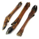 Pata Veado sem pelo (L) 25-28 cm