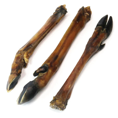 Pata Veado sem pelo (L) 25-28 cm