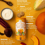 Pawfect - Snacks FRESH FREEZE DRIED PRE & PROBIOTIC Yogurt Melties Pumpkin with Beetroot, Cabbage & Fennel Seeds 🥛🎃  (Immunity & Health Gut)