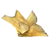 Tail Fish Bacalhau - Medium (cães  médios e grandes)  🐠 SUPER ÓMEGA 3, CÁLCIO & DENTAL!