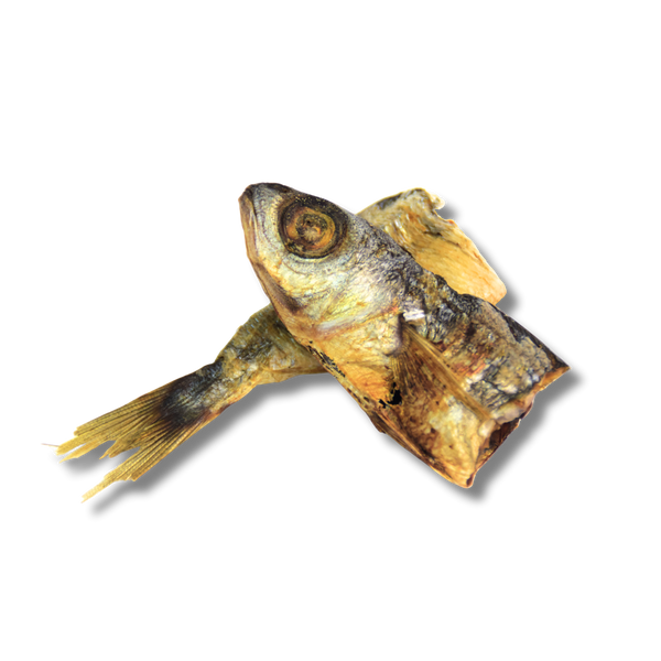 BOGA em Chuncks (Pedaços de Puro peixe fresco muito proteico 63,3%. Rico em Ómegas e Vitamina B12 e D)