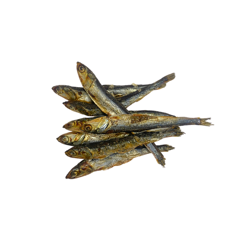 Anchovas do Atlântico (S) 🐟 5-10 cm Snack gourmet com muita proteína e rico em Ómegas