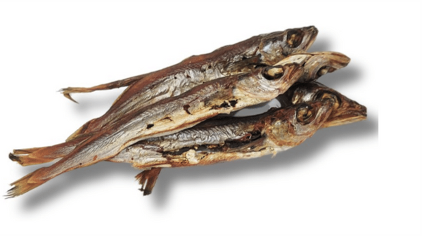 Cavala +15cm 🐟 Peixe rico em Ómega 3! (peixe azul)