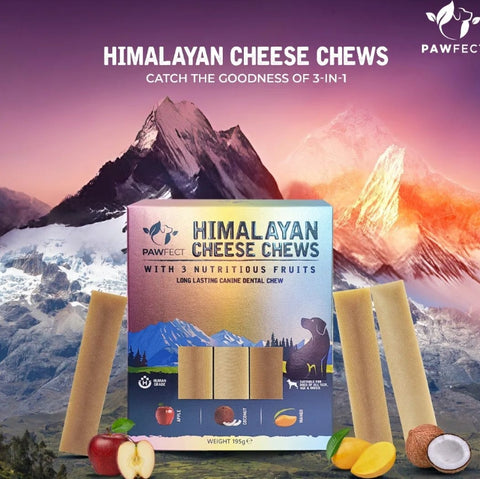 🧀 Pawfect - Barras Queijo Himalaias 3 Frutas Nutritivas (Maçã - Coco - Manga) - Multipack 3 UNID.  🍏🥥🥭