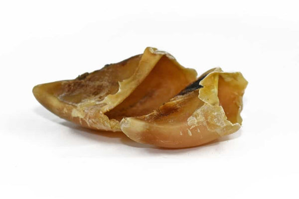 Casco Bovino (Recheável) (M/L)