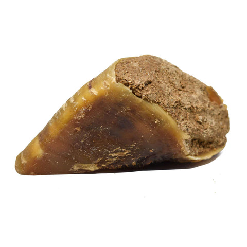 Cascos Vaca recheados com Gordura Ovelha & Mel (M/L)