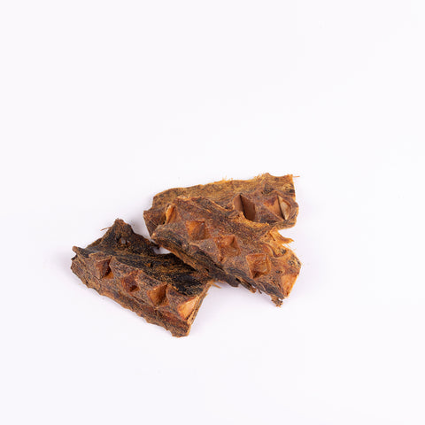 Fish Bone Atum (S/M) 6-15 cm 🐠Dose cálcio natural: Dentes e Ossos fortes!