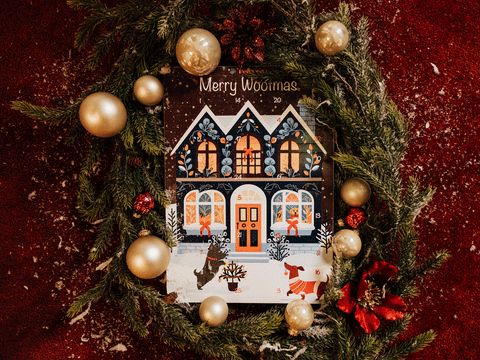 Caixa Seleção - Snacks desidratados 100% naturais para cão (ÚLTIMAS UNIDADES!) Garante já!