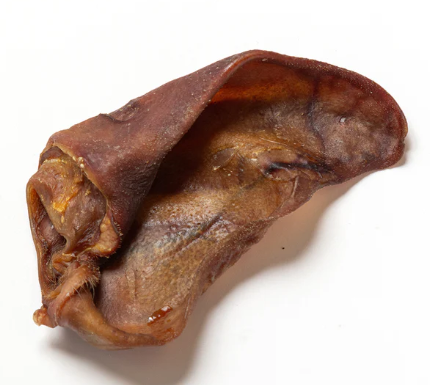 Orelhas Porco (Médias) 🐖 Ideal cães pequenos, puppies ou séniores