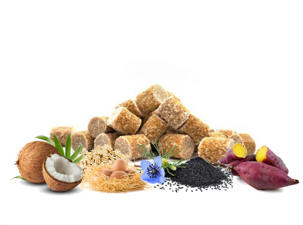 Bites SKIN & COAT (suaves) - BONBONS de Coco, Aveia & Óleo Cominho Negro (com ovos inteiros) (Melhora Pele e Pelo) 🌿