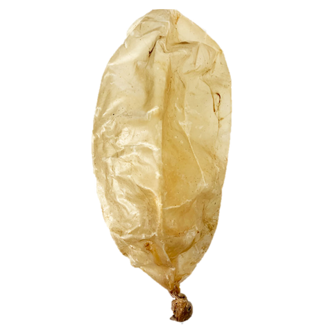 Bexiga de Vaca Inteira (um snack crocante repleto de vitaminas e MUITO DIVERTIDO!) 🐂